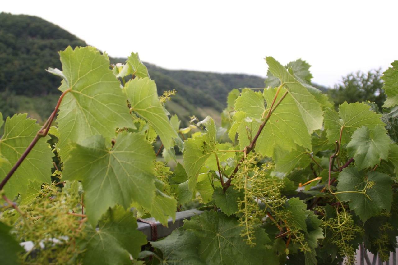 הוילה אנקירך Weingut Sauer-Kettermann מראה חיצוני תמונה